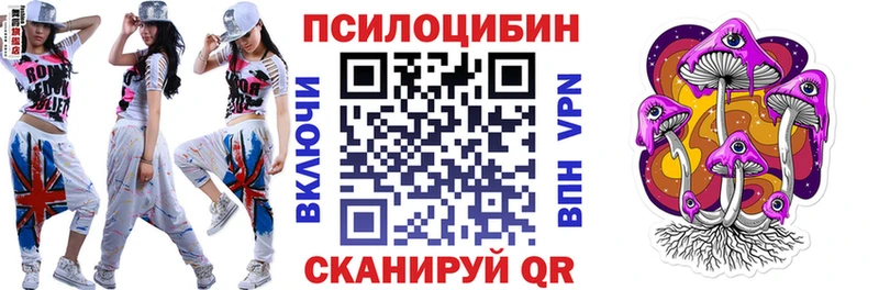 Псилоцибиновые грибы мухоморы  Купить закладки  Пудож 